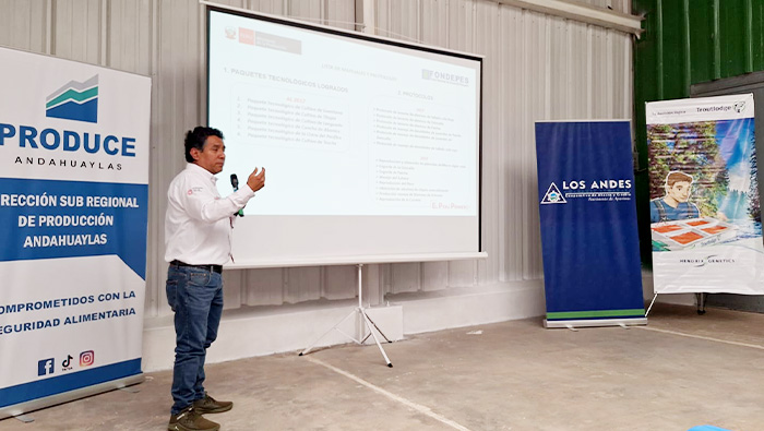 CURSO ANDAHUAYLAS 1