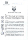 Vista preliminar de documento RD N°303-09-2024-DE-HCLLH-MINSA