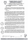 Vista preliminar de documento RGR0433-2024-GRI