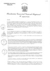 Vista preliminar de documento RGGR 478-2024