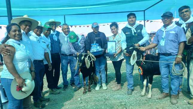 La Municipalidad Provincial de Sullana, comprometida con el desarrollo de sus distritos, estuvo presente en la inauguración de la XI Expo Feria Agropecuaria, Turística y Cultural Marcavelica-2024, bajo el lema "Mi Bosque Seco, hábitat para el Ecoturismo".
La regidora Jhennyfer Rosabel Aguilera Pacherres asistió en representación del alcalde de Sullana, Ing. Marlem Mogollon Meca a este importante evento. Asimismo, la gerente de Desarrollo Económico, Econ. Koritza Pérez de Lama, y el Ing. Angello Rafael Núñez Cruz, Subgerente de Gestión Productiva Urbano y Rural, representaron a la municipalidad de Sullana.
Durante la feria, se presentaron una variedad de productos agrícolas y ganaderos, así como artesanías locales. Además, se realizaron demostraciones de técnicas agrícolas, se ofrecieron charlas informativas sobre el potencial turístico de la zona y .se desarrollo el juzgamiento de ganado caprino.
