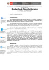 Vista preliminar de documento RDE N.177-2024-JUS-PRONACEJ