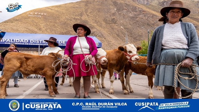 Cusipata Lidera la Transformación Ganadera: 25 nuevos ejemplares de Raza Feckvieh impulsaran el Desarrollo del Distrito
