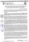 Vista preliminar de documento RGM 1083-2024