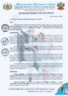 Vista preliminar de documento RA 087-2024 autorización de VIAJE GERENCIA MUNICIPAL