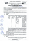 Vista preliminar de documento RD Nº 065-2024