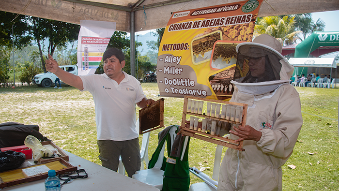 HUANUCO ABEJAS