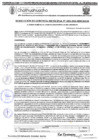 Vista preliminar de documento RGM 1096-2024