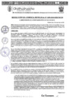 Vista preliminar de documento RGM 1099-2024