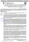 Vista preliminar de documento RGM 1100-2024
