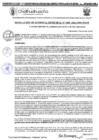 Vista preliminar de documento RGM 1105-2024