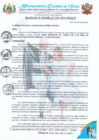 Vista preliminar de documento RA 105-2024 aprobación de PLANEFA 2024-2025