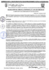 Vista preliminar de documento RGM 1109-2024
