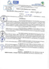 Vista preliminar de documento RD N 0976