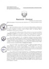 Vista preliminar de documento R.D. 824-2024 