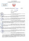 Vista preliminar de documento RD N 0982