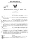 Vista preliminar de documento RDR 3334-2024