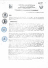 Vista preliminar de documento Resolucion029_2019