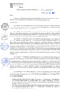 Vista preliminar de documento RGM N°480-2024