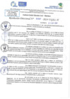 Vista preliminar de documento RD N 0987