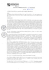 Vista preliminar de documento RGM N°489-2024