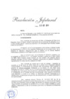 Vista preliminar de documento Resolución Jefatural N° 0541-2019-RE
