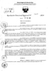Vista preliminar de documento RDR 6280-2024