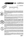 Vista preliminar de documento R.D.N.336-2024-INSN-DG