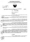 Vista preliminar de documento RDR 6289-2024