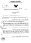 Vista preliminar de documento RDR 6290-2024