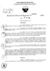 Vista preliminar de documento RDR 6291-2024