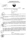 Vista preliminar de documento RDR 6292-2024