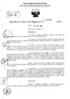 Vista preliminar de documento RDR 6293-2024
