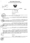 Vista preliminar de documento RDR 6294-2024