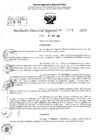 Vista preliminar de documento RDR 6295-2024