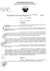Vista preliminar de documento RDR 6296-2024