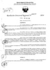 Vista preliminar de documento RDR 6297-2024