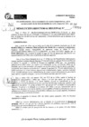 Vista preliminar de documento RDR 6316-2024