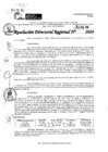 Vista preliminar de documento RDR 6320-2024