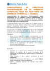Vista preliminar de documento CONVOCATORIA DE PRÁCTICAS PROFESIONALES ASISTENTE DE GERENCIA - JULIACA