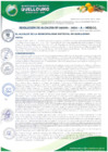 Vista preliminar de documento RESOLUCION-ALCALDIA-0196-2024-A-MDQ-LC