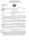 Vista preliminar de documento RDR 6333-2024