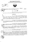 Vista preliminar de documento RDR 6335-2024