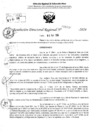 Vista preliminar de documento RDR 6337-2024