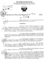 Vista preliminar de documento RDR 6339-2024