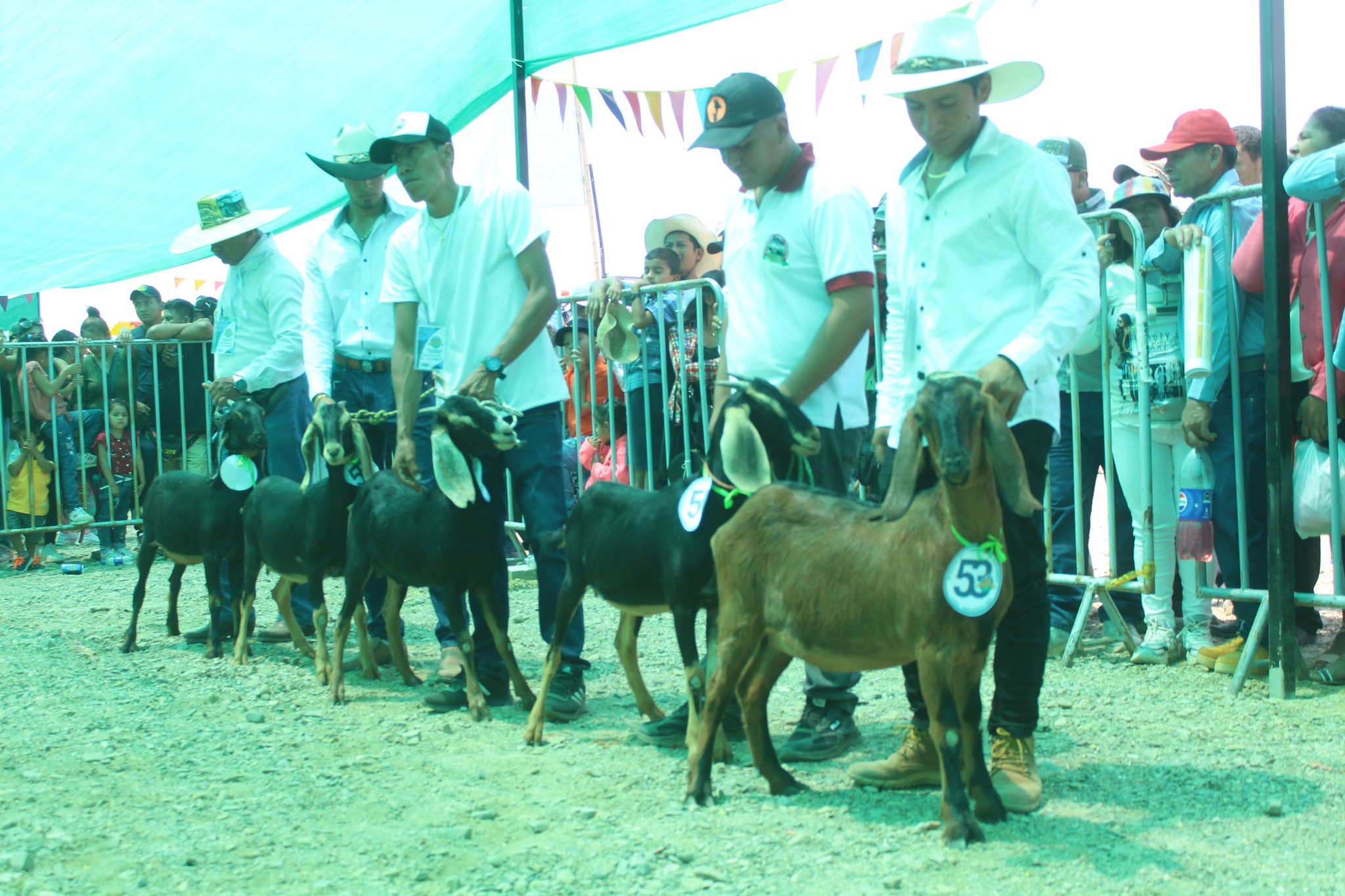 Portada 2