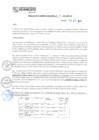 Vista preliminar de documento RGM N°497-2024