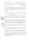 Vista preliminar de documento RG. 000824-2024-GSATDE