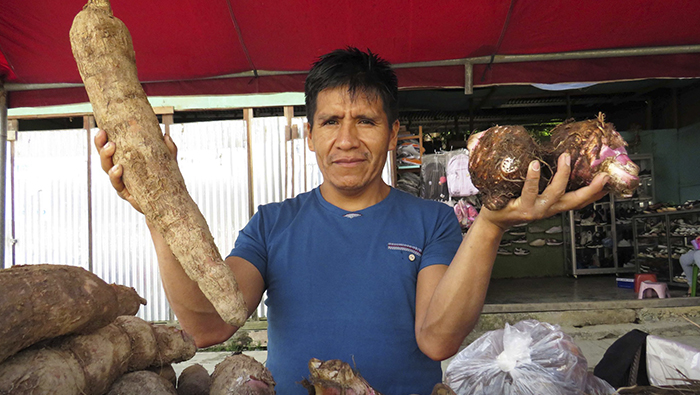 Esta actividad es impulsada por el proyecto “Promoción Agropecuaria” de la Gerencia de Desarrollo Económico y Gestión Ambiental