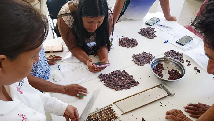 Durante el taller, se afianzaron los conocimientos del manejo de la guillotina, catación de chocolate Bitte y tasa, identificación del cacao al 8% y otras acciones más